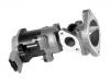 Egr Valve:LR0 09810